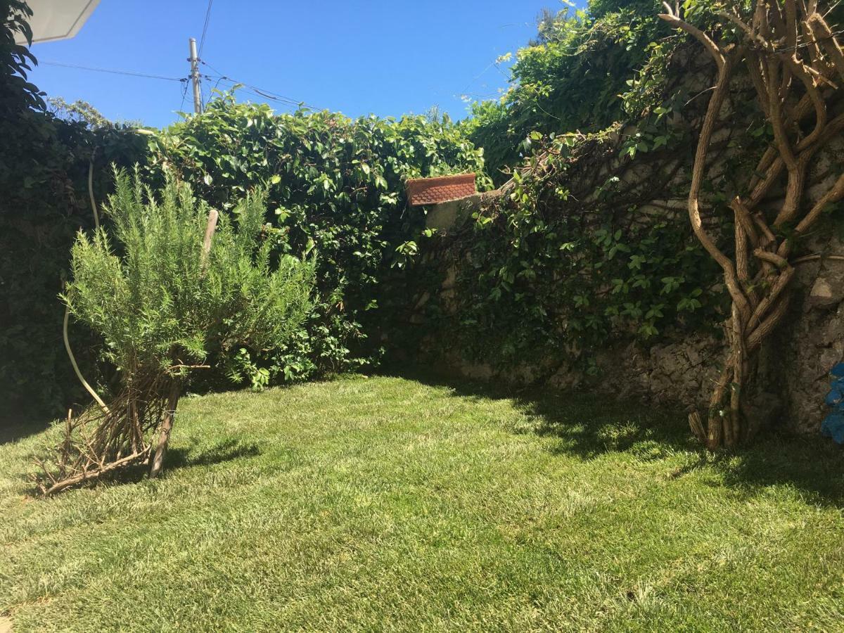 Apartament Ruderi Cetara Zewnętrze zdjęcie